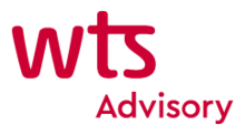 logo wts advisory